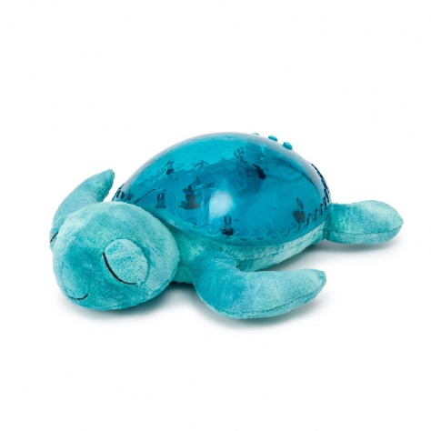 Tortue Musicale - Aqua - CLOUD B