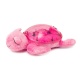 Tortue Musicale - Rose - CLOUD B