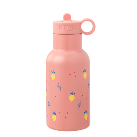 Gourde en inox Dinos - FRESK