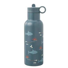 Gourde en inox Dinos - FRESK