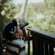 Kidybinoculars - KIDYWOLF