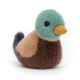 Canard colvert - JELLYCAT