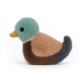 Canard colvert - JELLYCAT