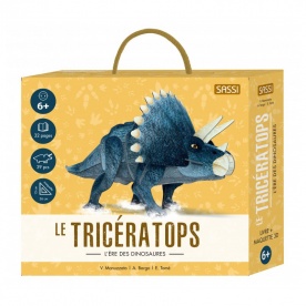 Maquette 3D Tricératops - SASSI